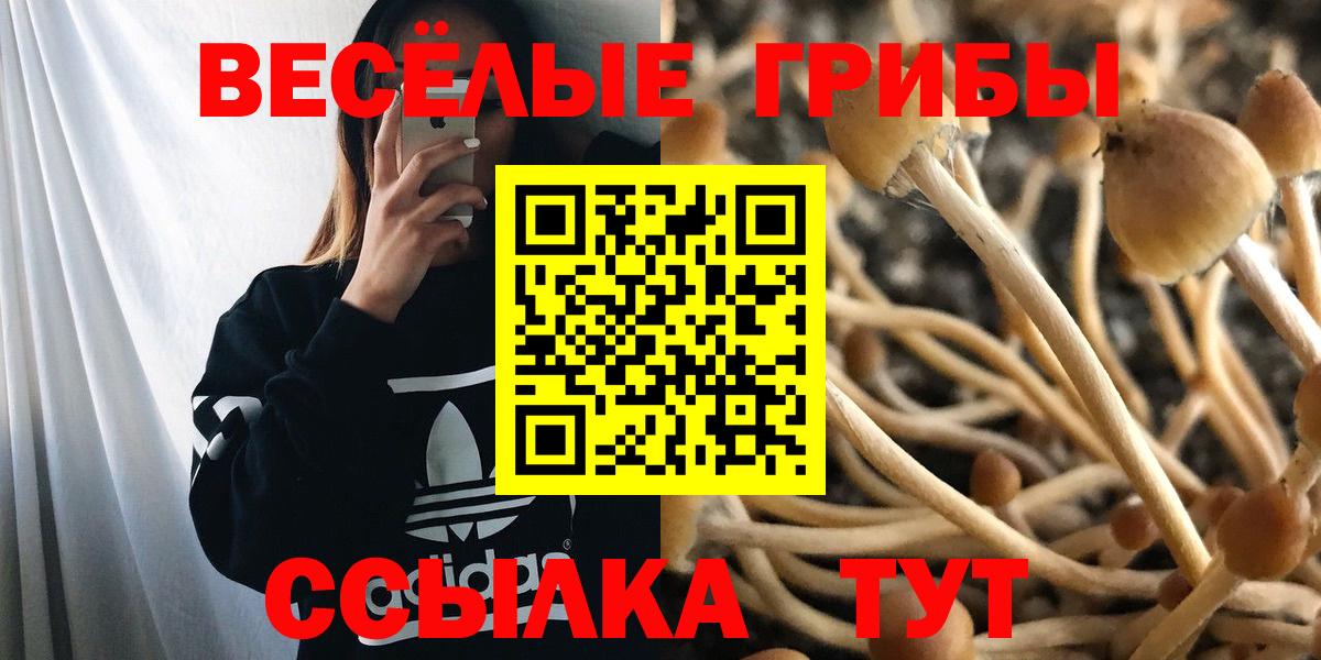 закладка  Вход с VPN  Барабинск  Псилоцибиновые грибы GOLDEN TEACHER 